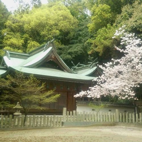 ⛩️ 타루미 신사 이미지 7